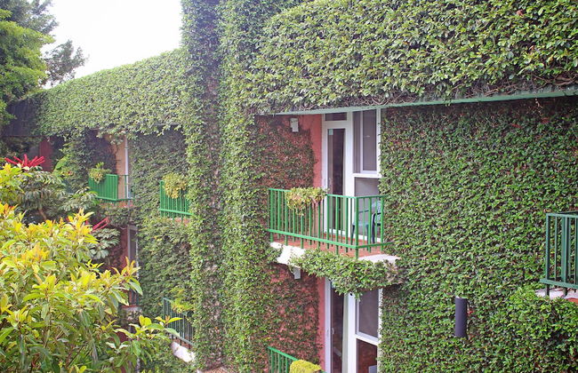 Novo Hotel & Suite - Photo 34