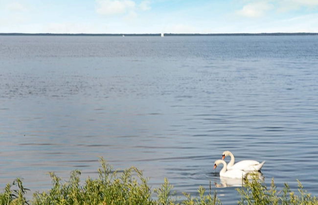 Holiday Home in Mörbylånga - Photo 62