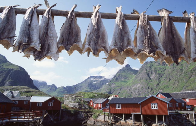 Å Rorbuer - by Classic Norway Hotels - Photo 16