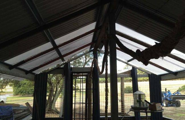 Redtail Ridge Cottages - Adults Only - Photo 19