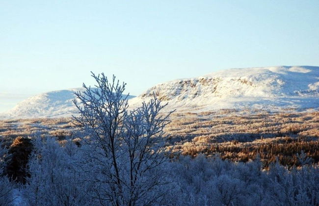 Fjällfrid Stugor - Foto 52