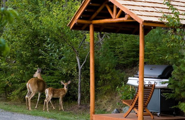 WING CREEK RESORT - Foto 20