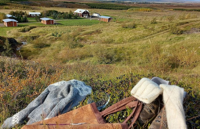 Ásgeirsstaðir Cottages - Foto 55