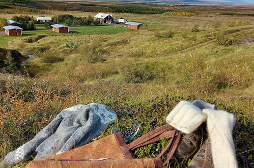 Foto 55 - Ásgeirsstaðir Cottages