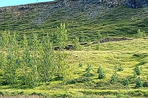 Photo 56 - Ásgeirsstaðir Cottages