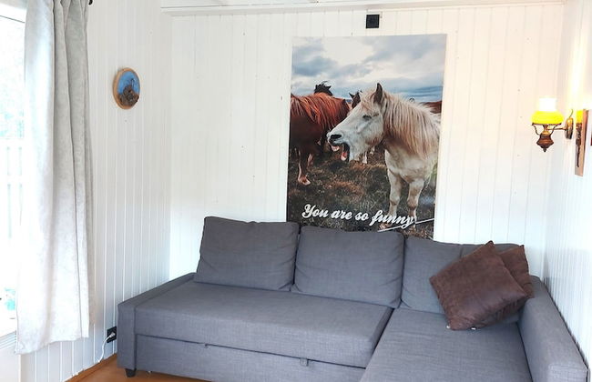 Ásgeirsstaðir Cottages - Foto 30