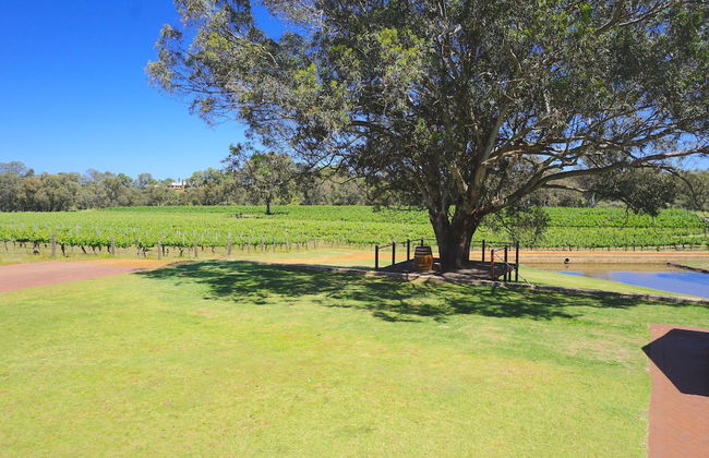 Vineyard Cottage at Upper Reach Winery - Foto 21