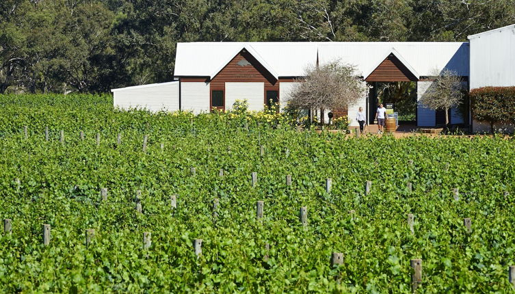 Photo 1 - Vineyard Cottage at Upper Reach Winery