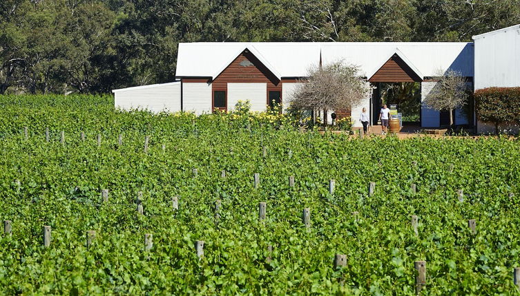 Foto 1 - Vineyard Cottage at Upper Reach Winery