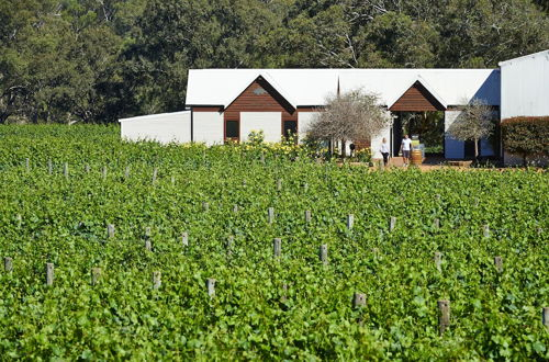Photo 1 - Vineyard Cottage at Upper Reach Winery