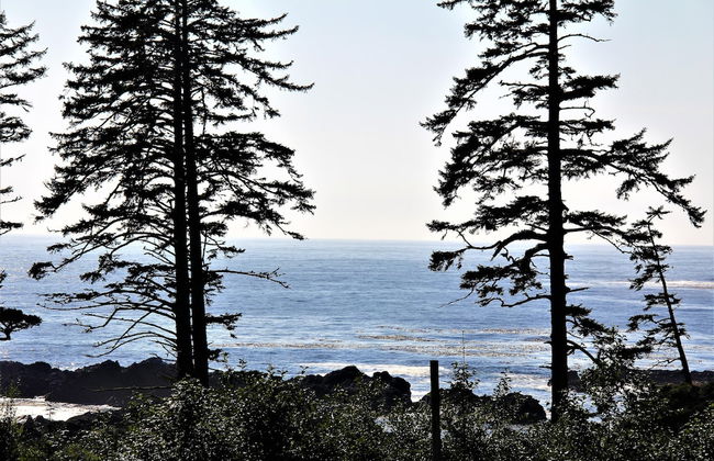 Big Beach Villa - Photo 11