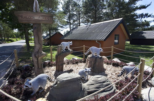 Photo 31 - LEGOLAND Wilderness Barrels & Cabins