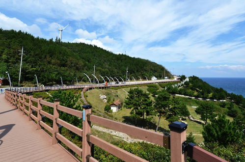 Photo 49 - Yeongdeok Yeomyung Pension