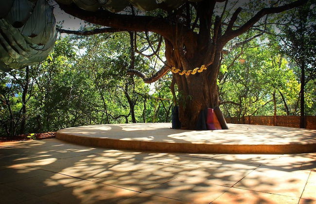 Khaama Kethna Wellbeing Retreat Centre - Foto 65