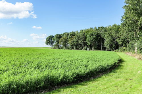 Photo 11 - Peaceful Vacation Home in Finsterwolde With Wide Views