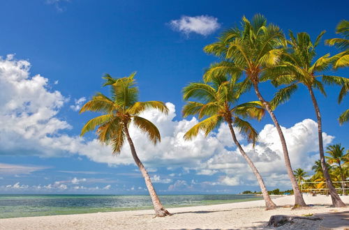 Photo 3 - Casa Grande by Avantstay Dt Key West Near South Beach w/ Pool