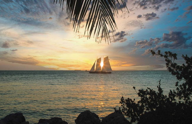Parrot Perch by Avantstay Old Town Key West w/ Shared Pool Week Long Stays Only - Foto 33