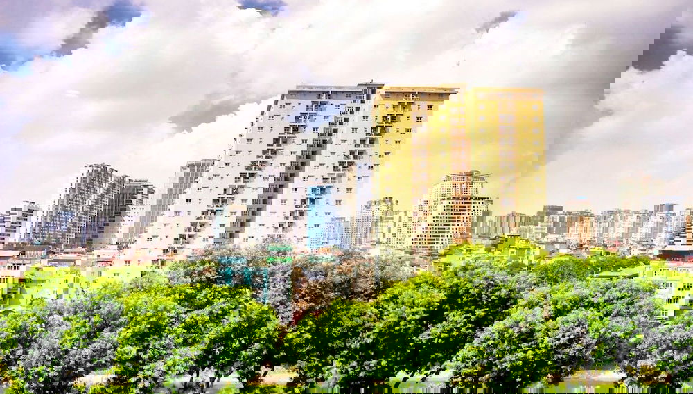 Imagem principal