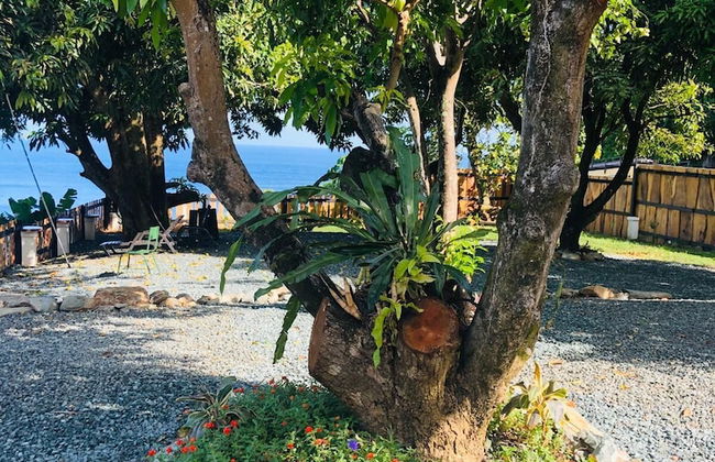 Castara Inn - Foto 57