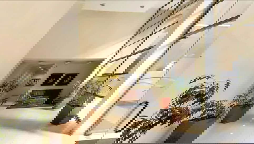 Imagem principal
