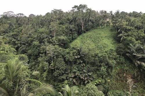 Photo 33 - Ubud Paras Villa