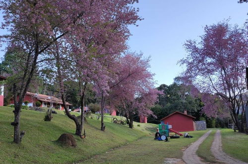 Photo 36 - Residencial das Araucarias