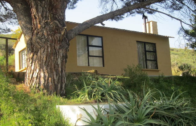 Swaynekloof Farm - Foto 53