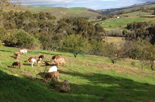 Photo 51 - Swaynekloof Farm