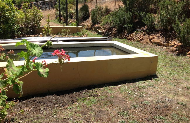 Swaynekloof Farm - Foto 35