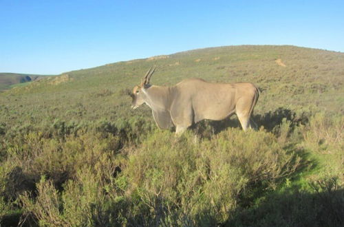 Photo 46 - Swaynekloof Farm