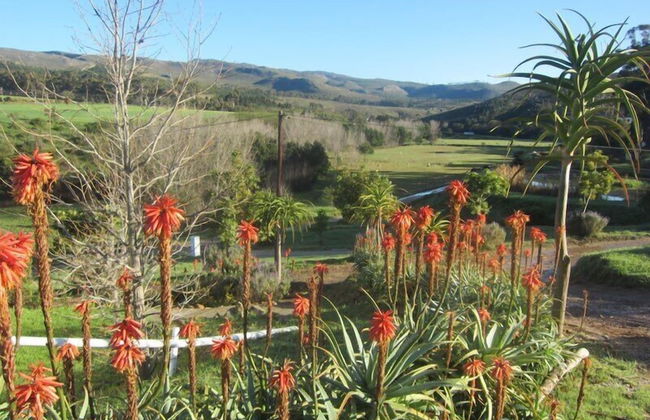 Swaynekloof Farm - Foto 50