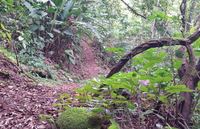 Los Pinos Cabanas y Jardines - Foto 41