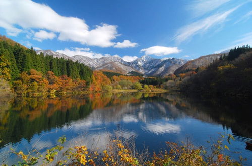 Photo 24 - Angel Resort Yuzawa 916