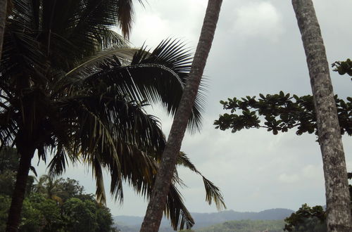 Photo 29 - Arunalu Lake Front