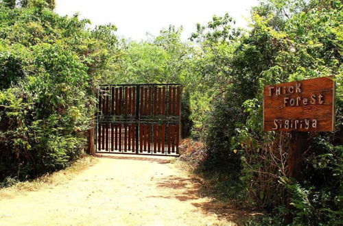 Foto 30 - Thick forest sigiriya