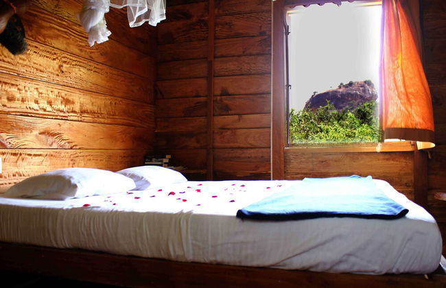 Thick forest sigiriya - Foto 3