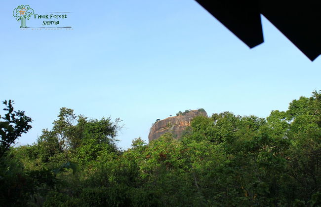 Thick forest sigiriya - Foto 22