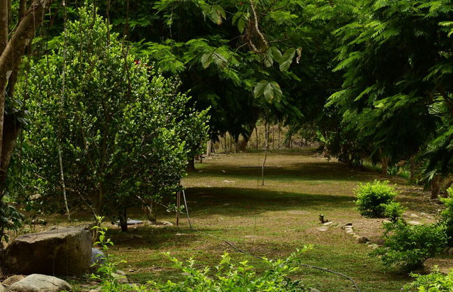 El Lago - Finca Agrituristica - Foto 7
