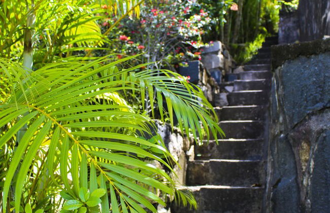 Stelia Seychelles - Foto 20