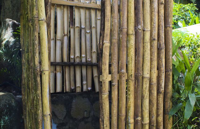 Stelia Seychelles - Foto 19