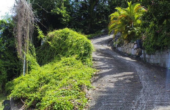 Stelia Seychelles - Foto 16