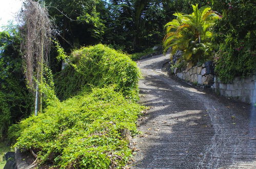 Photo 16 - Stelia Seychelles