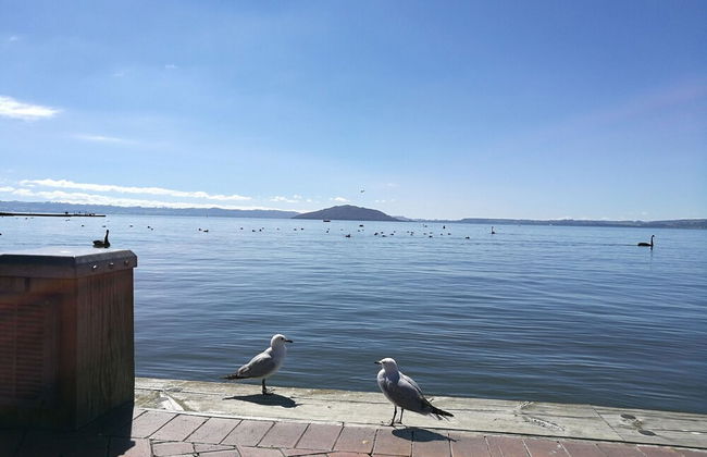 Great view near Rotorua lake - Foto 23