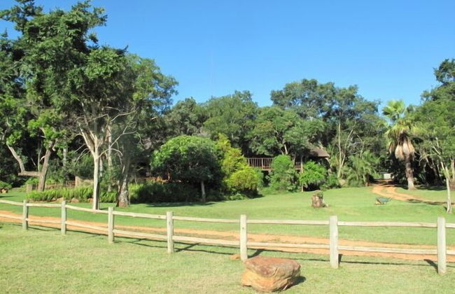 Caracal Lodge - Foto 35