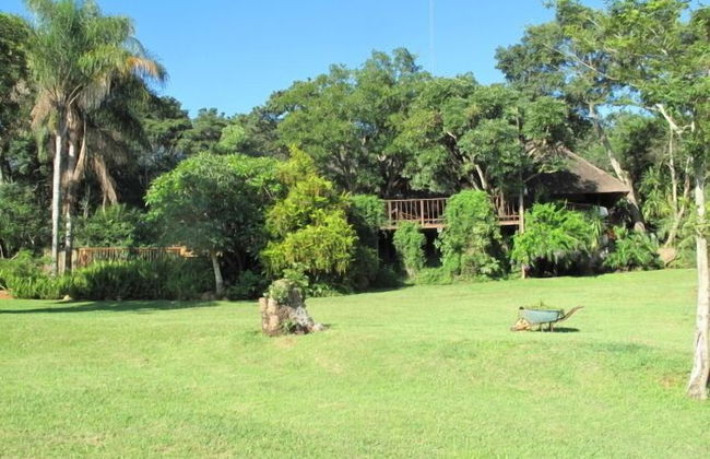 Caracal Lodge - Foto 33