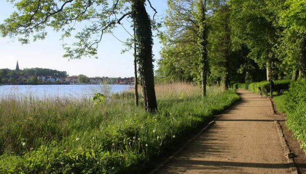 Zimmer