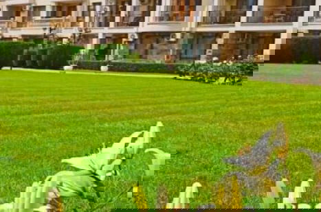 Foto 44 - Maisonettes in Royal Bay Residence&SPA 2