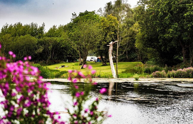 North Norfolk Glamping - Foto 41