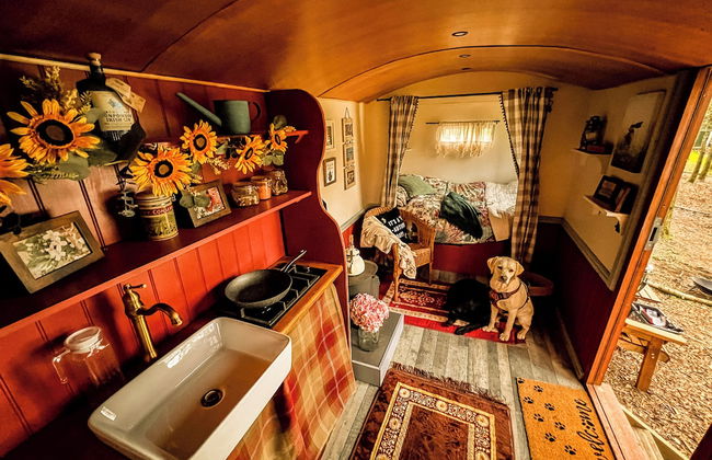 North Norfolk Glamping - Foto 2