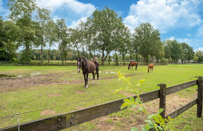 Holiday Home in Reest Valley Near Forest & Pond - Photo 51